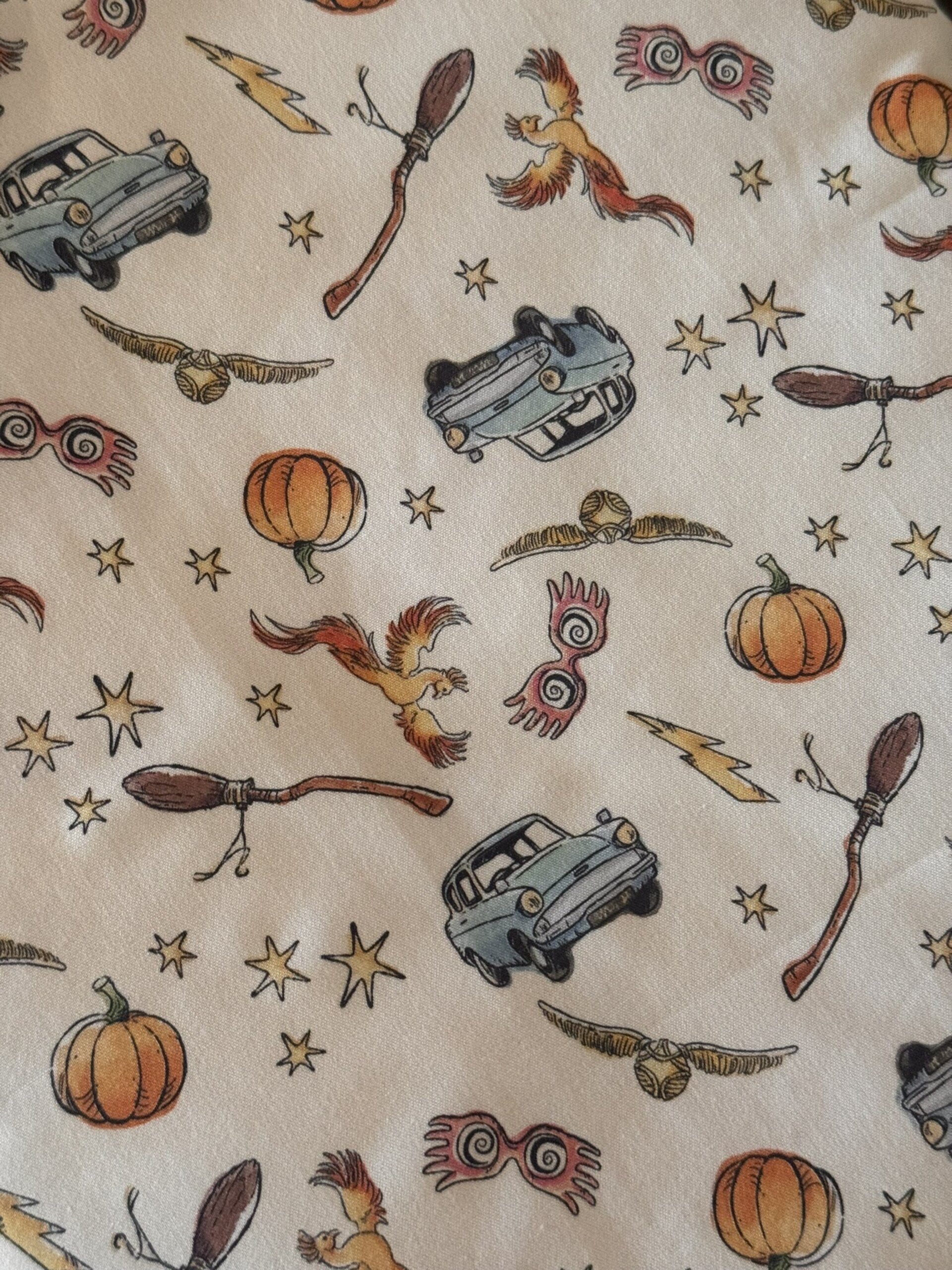 Funda Harry Potter Cottage - 2